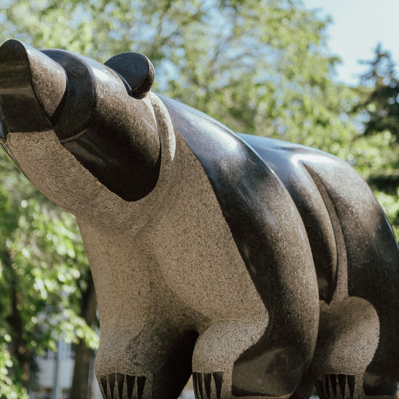 Canada Research Chair in Indigenous Governance (Tier&nbsp;II)