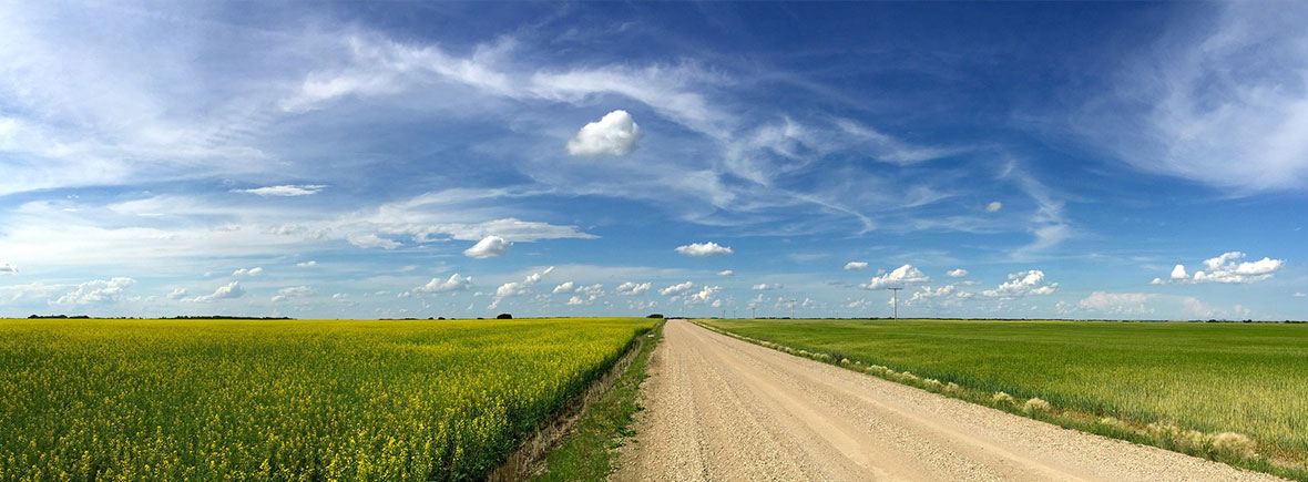 Governance and Institution&nbsp;Building
